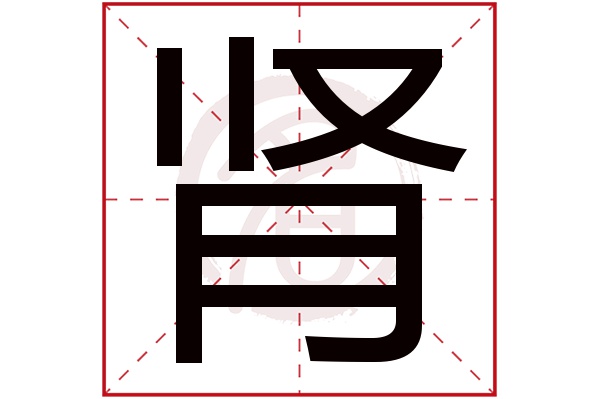 肾字