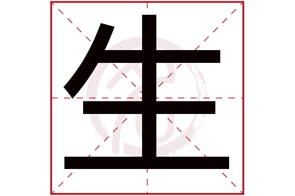 生字