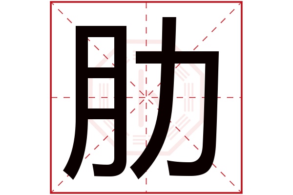 肋字