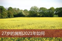 27岁的属相2021年如何