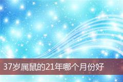 37岁属鼠的21年哪个月份好