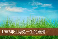 1963年生肖兔一生的婚姻