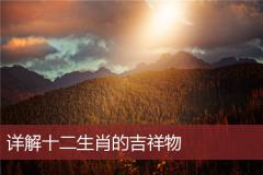 详解十二生肖的吉祥物