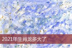 2021年生肖龙多大了